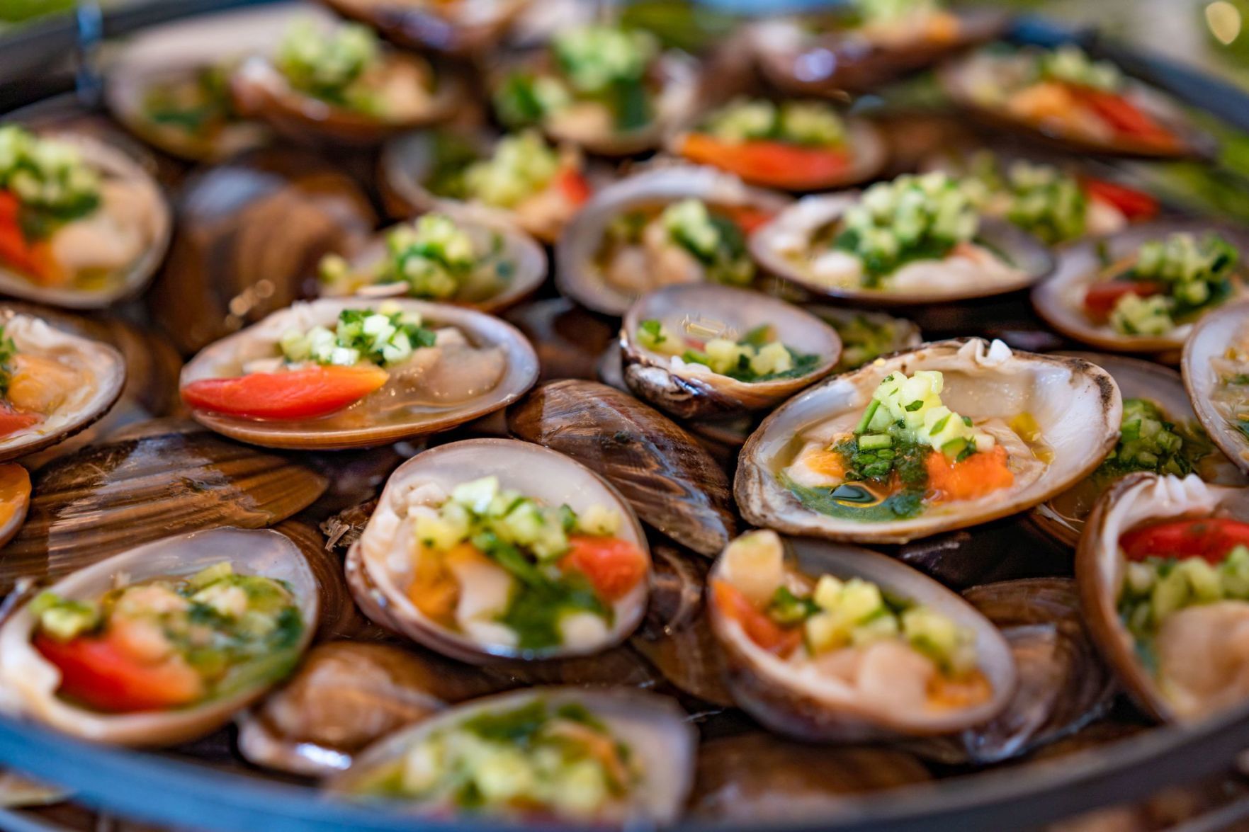 Clams